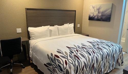 Standard King Room Non-Smoking