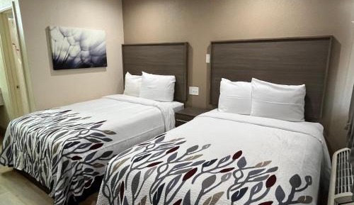 Standard Room with Two Double Beds Non-Smoking