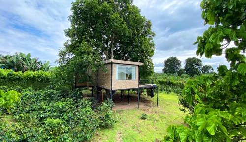 Deluxe Double Room with Bath