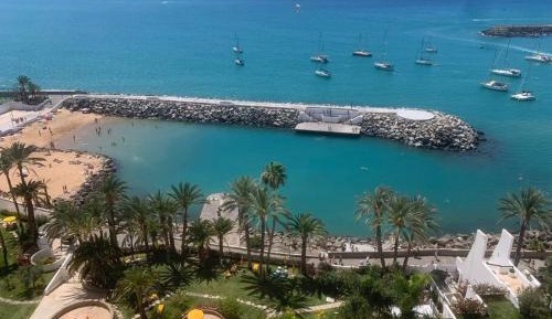 One-Bedroom Apartment with View