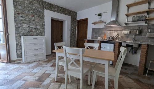 Studio with Garden View