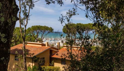 Three-Bedroom Superior Apartment