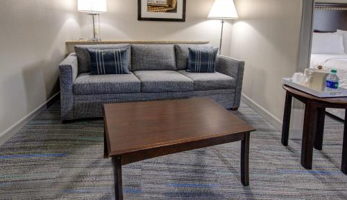 Guest room, 1 King, Sofa bed