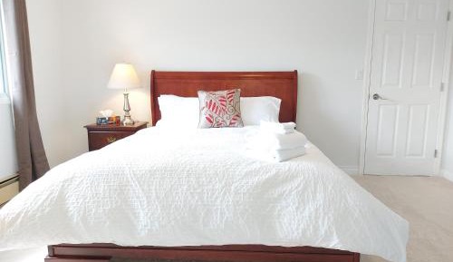 Deluxe Queen Suite