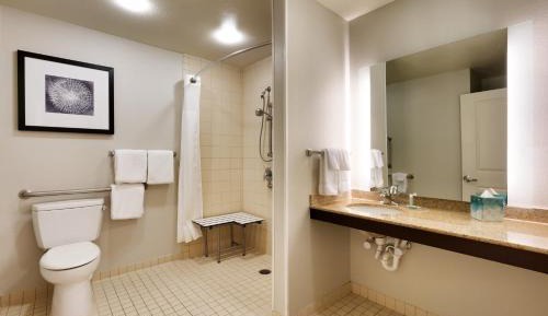 One-Bedroom Studio Suite with Sofa Bed and Roll-in Shower - Mobility and Hearing Accessible