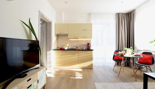 Studio Apartment