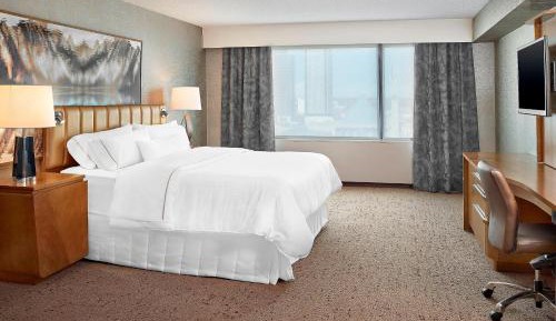 Deluxe, Larger Guest room, 1 King, City view, Deluxe Wing