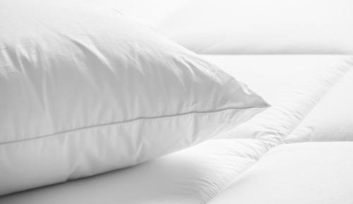 Studio Suite with 1 Queen bed and Sofa bed