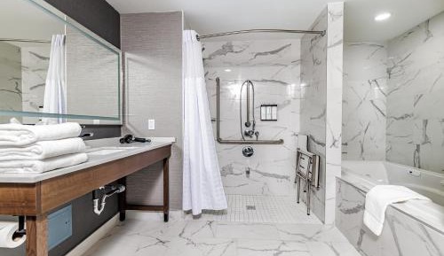 One-Bedroom King Suite with Sofa Bed