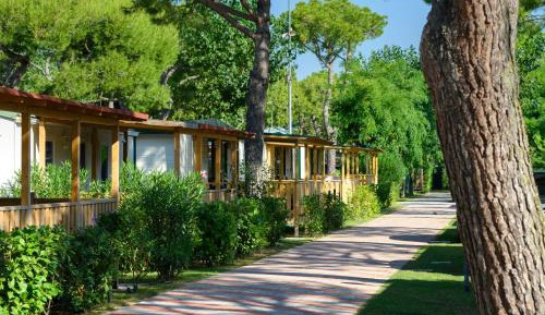 Mobile Home (5 Adults)