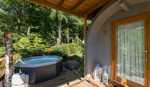 Double or Twin Room with Mountain View
