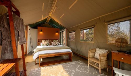 Tent