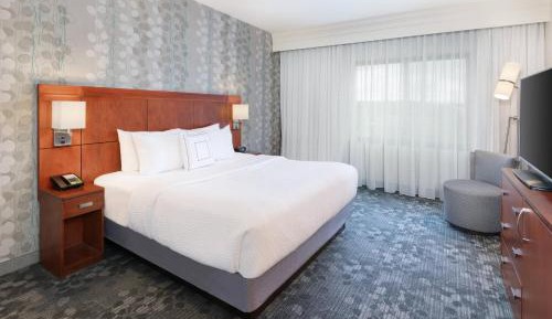 One-Bedroom King Suite with Sofa Bed