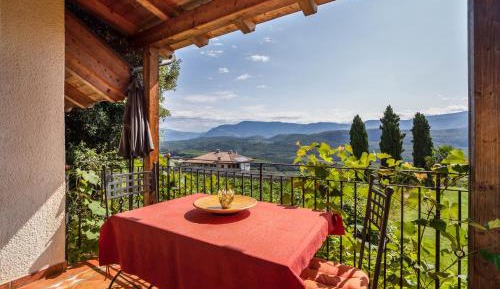 Superior One-Bedroom Apartment with Balcony