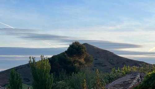 Studio with Garden View