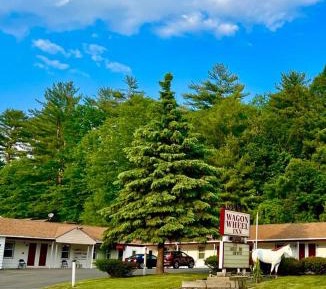 King Room with Whirlpool - Non-Smoking