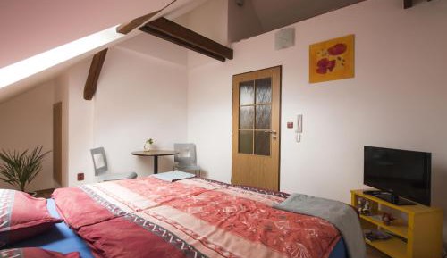 Apartment with Terrace and Kitchenette 