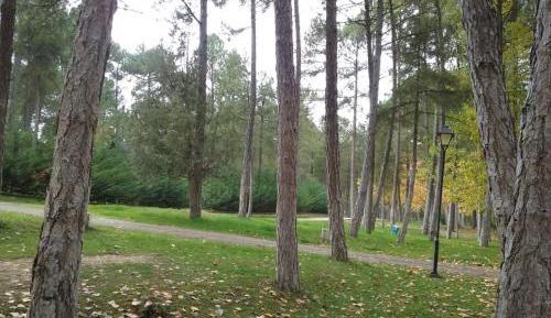 Parcela estándar (coche + tienda propia)