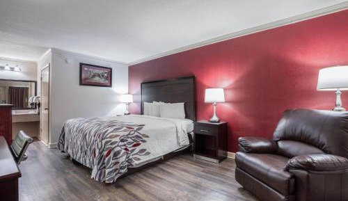 Superior King Room Disability Access Roll-In Shower Non-Smoking