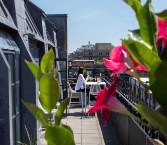 Premium Suite with Terrace