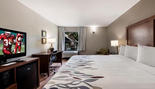 Superior King Room Non-Smoking