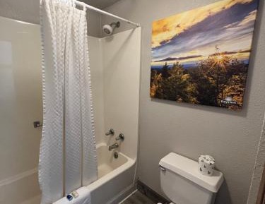 King Room with Mobility Access and Bathtub with Grab Bars, Non-Smoking