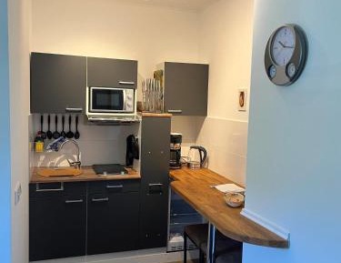 One-Bedroom Apartment with Shower