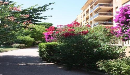 Apartment (4 Adults)