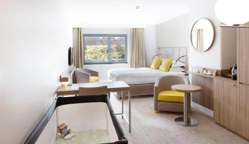 Junior King Suite