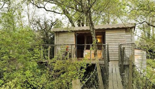 One-Bedroom Treehouse