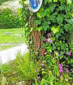 Double Room with Private Bathroom and kitchen cabin