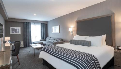 Standard Room, 1 King Bed, Sofa Bed