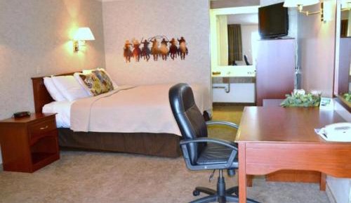 Standard King Room - Non Smoking