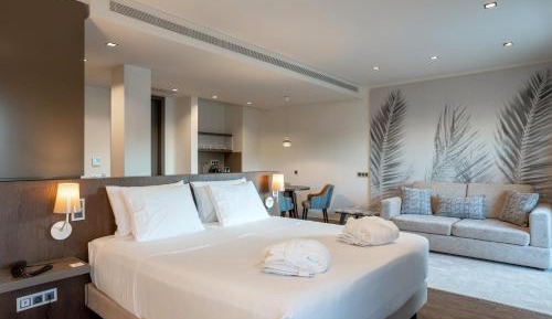 Premium Suite with Spa Access