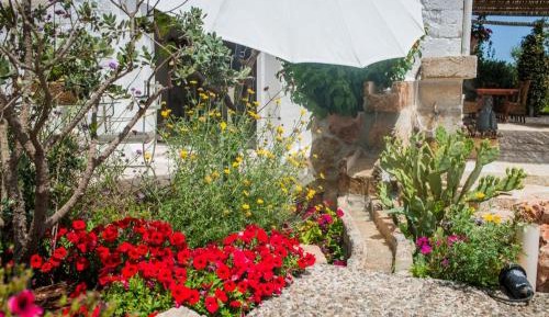 Deluxe Suite with Spa Bath