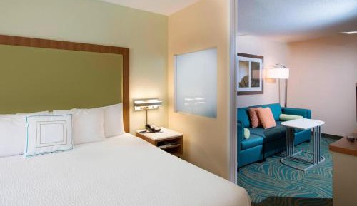 King Suite with Sofa Bed