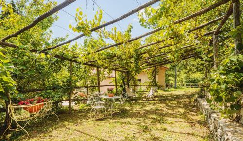 Two-Bedroom Superior Apartment