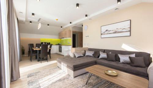 Penthouse Apartment