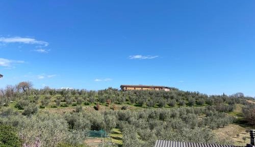 Double or Twin Room with Garden View with Shared Bathroom