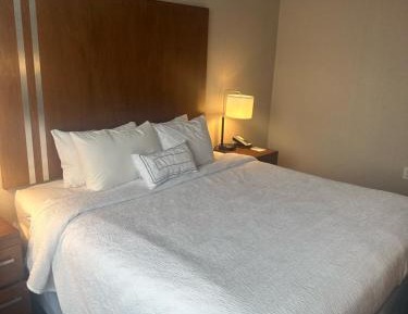 King Suite with Sofa Bed