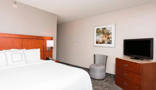 Suite, 1 King, Sofa bed