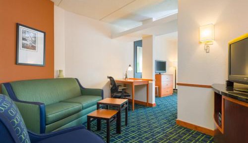 Studio, 1 King, Sofa bed