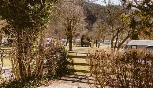 One-Bedroom Bungalow