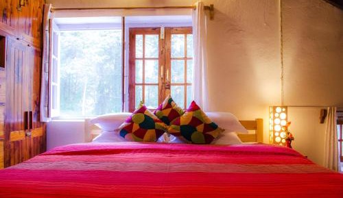 Butterfly Double Room
