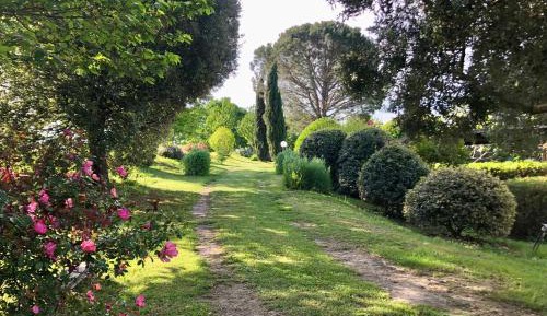 Apartment with Garden View