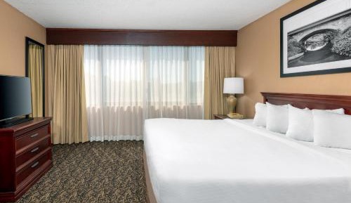 Junior King Suite with Sofa Bed