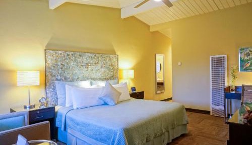 Superior King Room