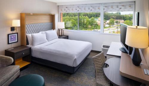 One-Bedroom King Suite