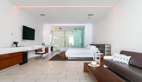 Luxury Suite