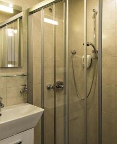 One-Bedroom Apartment with Shower